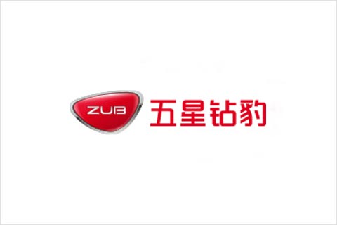俄罗斯贵宾会电池合作伙伴 五星钻豹电动车